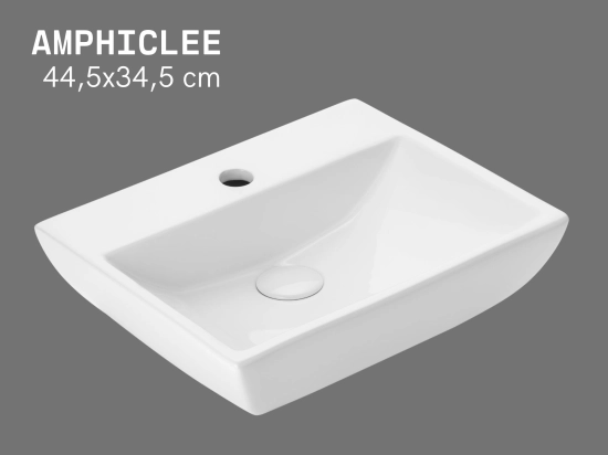 Amphicle